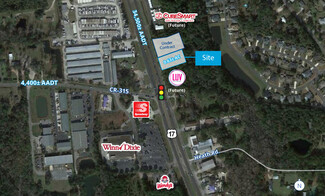 More details for NEC CR 315 & US-17, Green Cove Springs, FL - Land for Sale