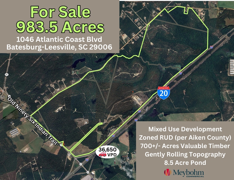 1046 Atlantic Coast Blvd, Batesburg-Leesville, SC for sale - Aerial - Image 1 of 18