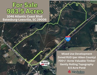 More details for 1046 Atlantic Coast Blvd, Batesburg-Leesville, SC - Land for Sale