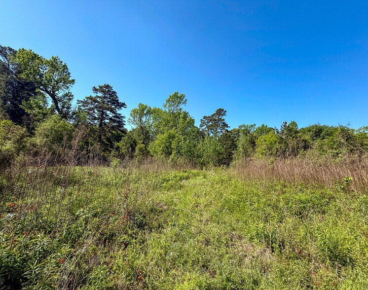 10.097 Acres, Old Houston Road, Huntsville, TX à vendre - Photo du bâtiment - Image 3 de 12