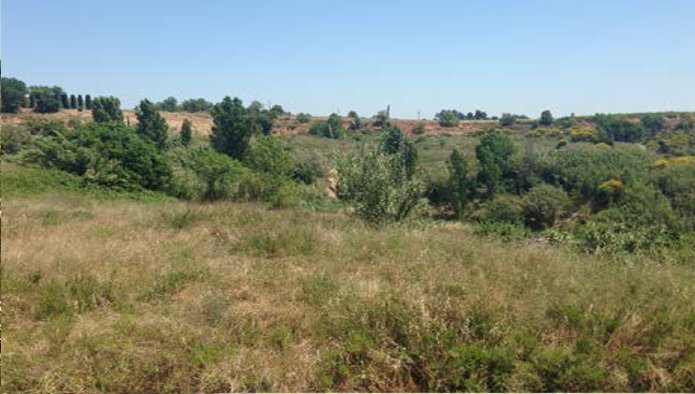 Terrain dans Sant Sadurní d'Anoia, Barcelona à vendre Plan d’étage- Image 1 de 5