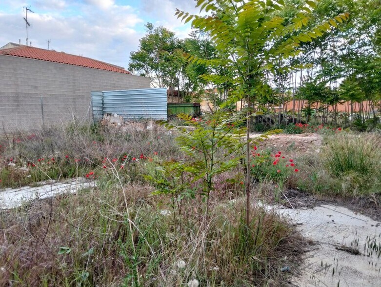 Land in Lillo, Toledo for sale - Other - Image 3 of 5
