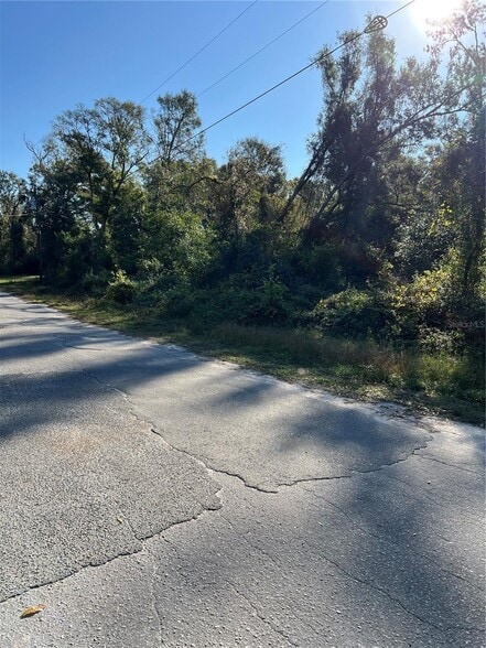 County Road 690, Webster, FL for sale - Other - Image 3 of 4