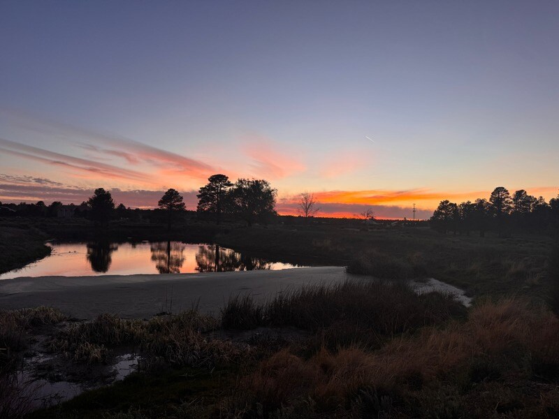 2216 Mogollon Rim Dr, Overgaard, AZ à vendre Photo principale- Image 1 de 17
