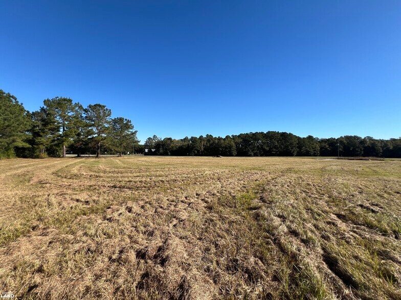 0 Tallahassee Highway, Attapulgus, GA for sale - Other - Image 2 of 10