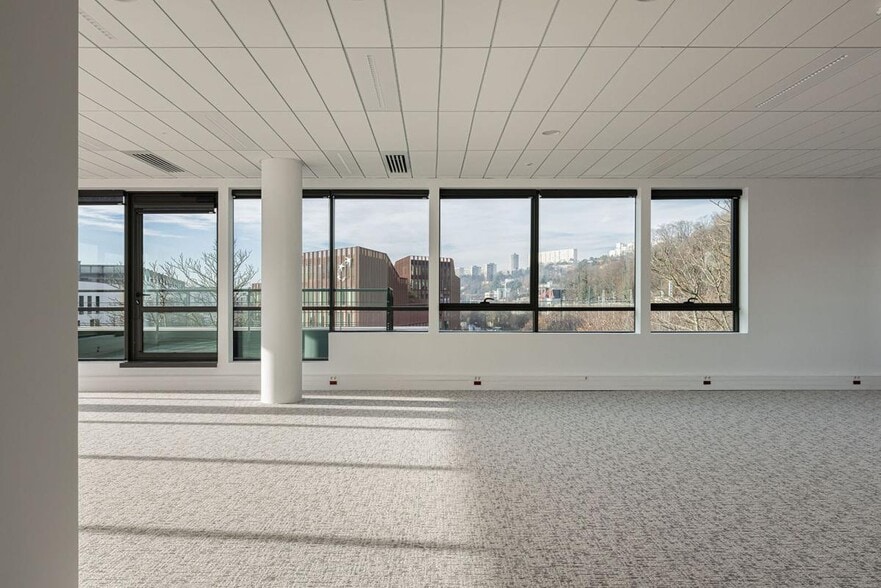 25-27 Rue Joannès Carret, Lyon for sale - Interior Photo - Image 2 of 12