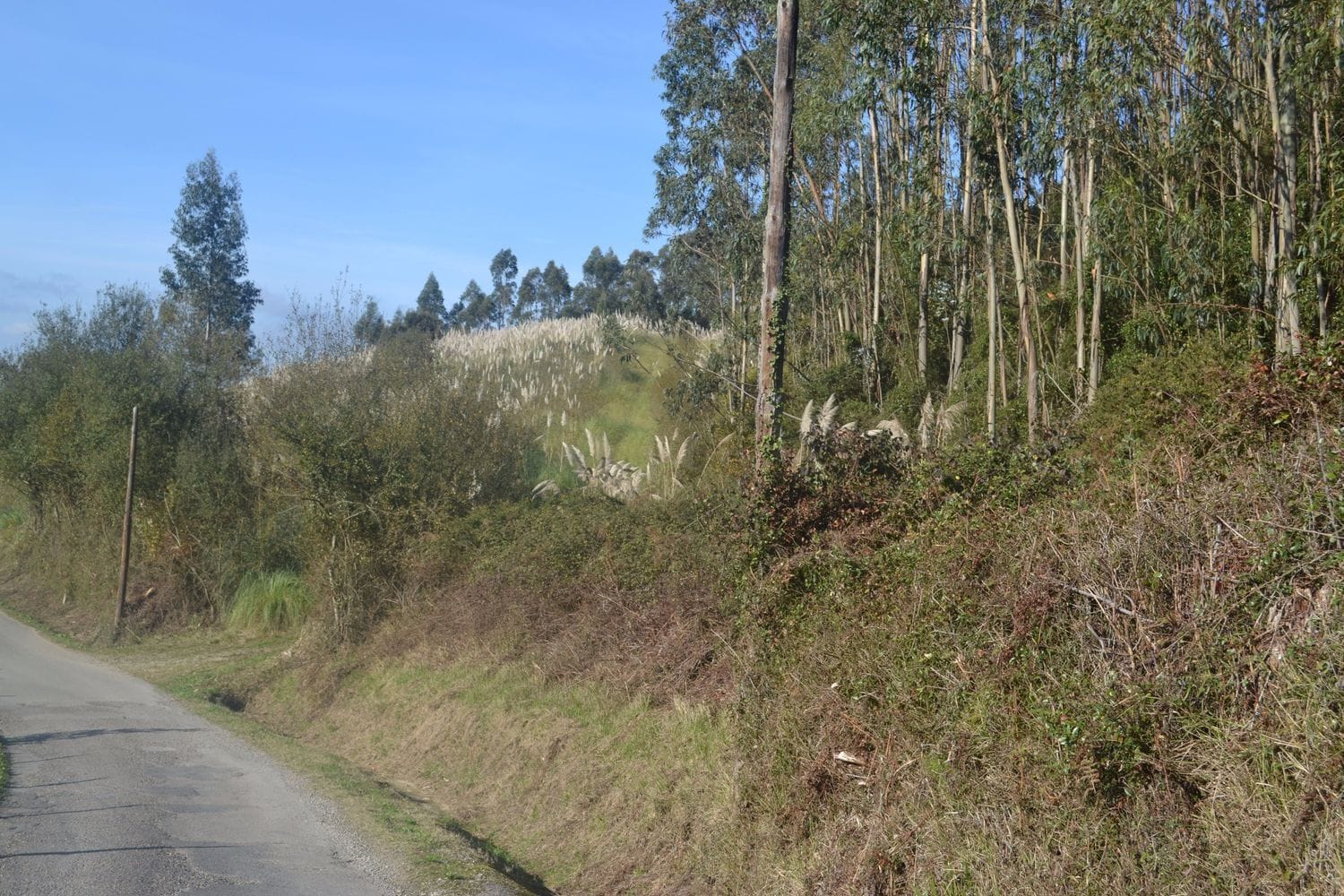 Puga, Llanera, Asturias à vendre Aérien- Image 1 de 41