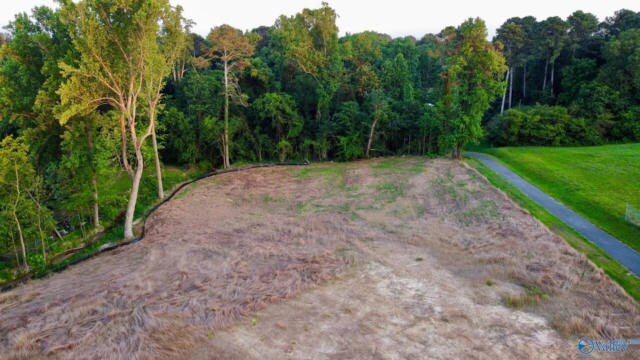 10065 US Highway 431, Albertville, AL à vendre - Photo du bâtiment - Image 3 de 8