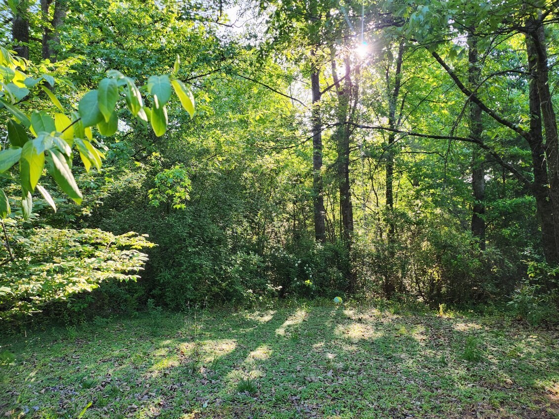 7.03 Acres Leroy Rd, Fair Play, SC à vendre Photo principale- Image 1 de 17