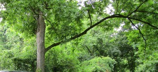 Plus de détails pour 117 Hunt St, Durham, NC - Terrain à louer