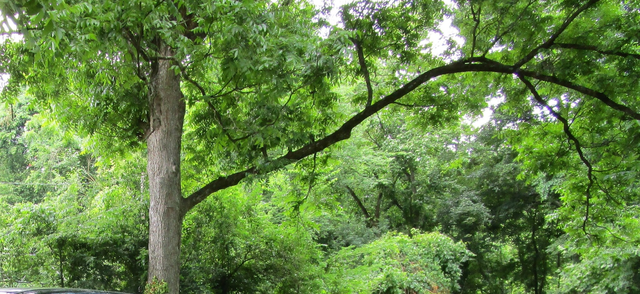 117 Hunt St, Durham, NC for lease Primary Photo- Image 1 of 2