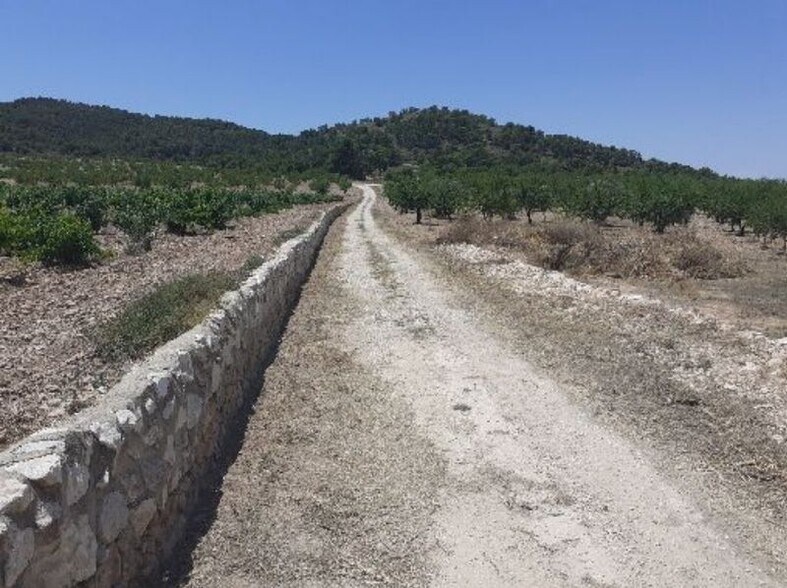 Paraje Sopaire y Cañada de la Leña, 3, Abanilla, Murcia for lease - Building Photo - Image 3 of 14