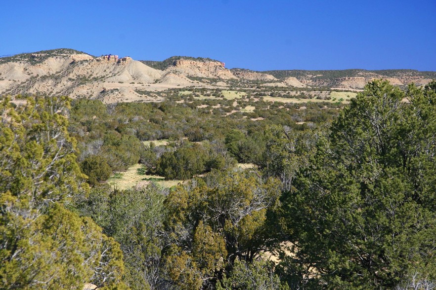 Arizonas Best Land Buy, Saint Johns, AZ à vendre - Photo principale - Image 1 de 1