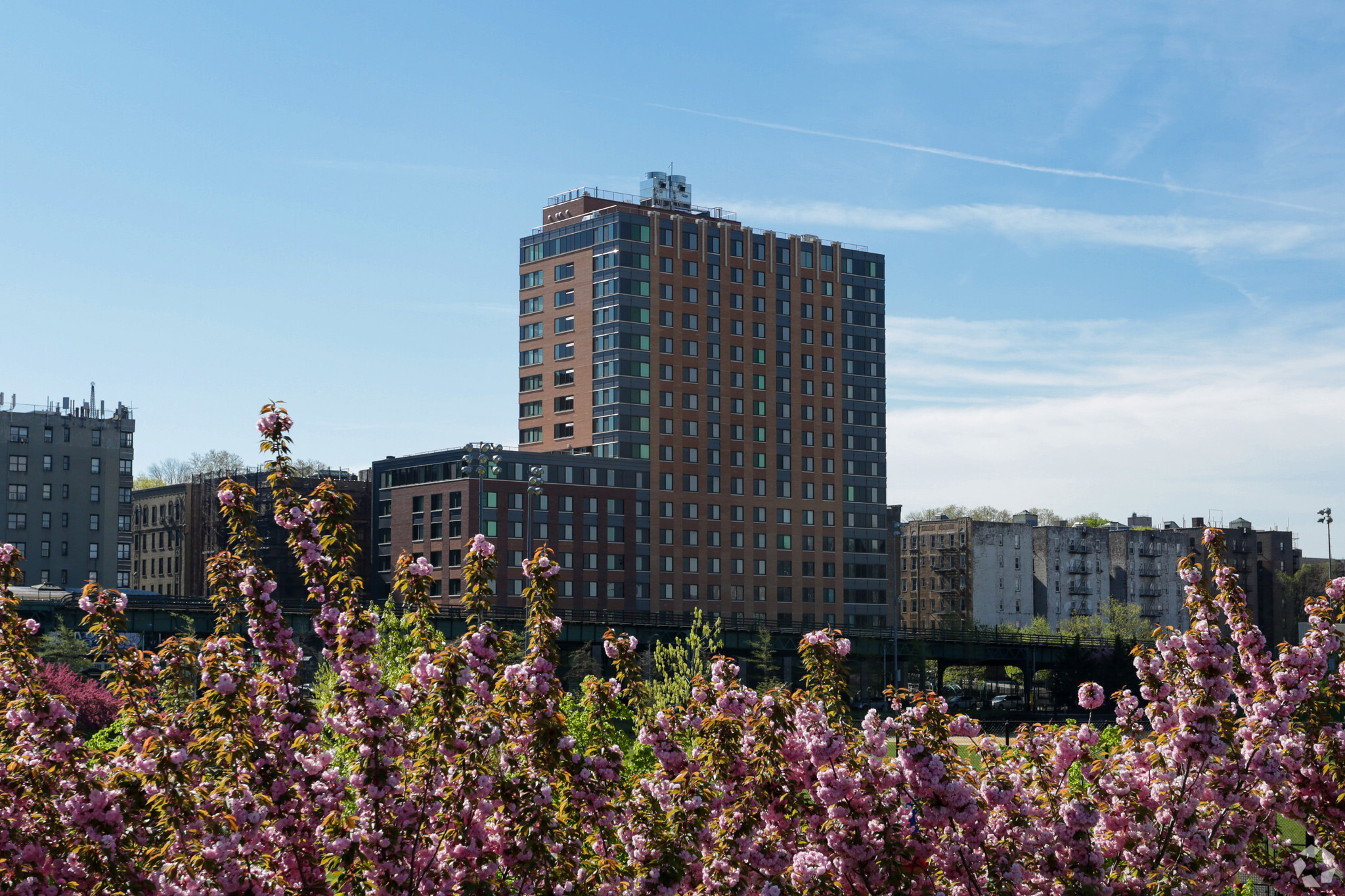 810 River Ave, Bronx, NY for sale Primary Photo- Image 1 of 1