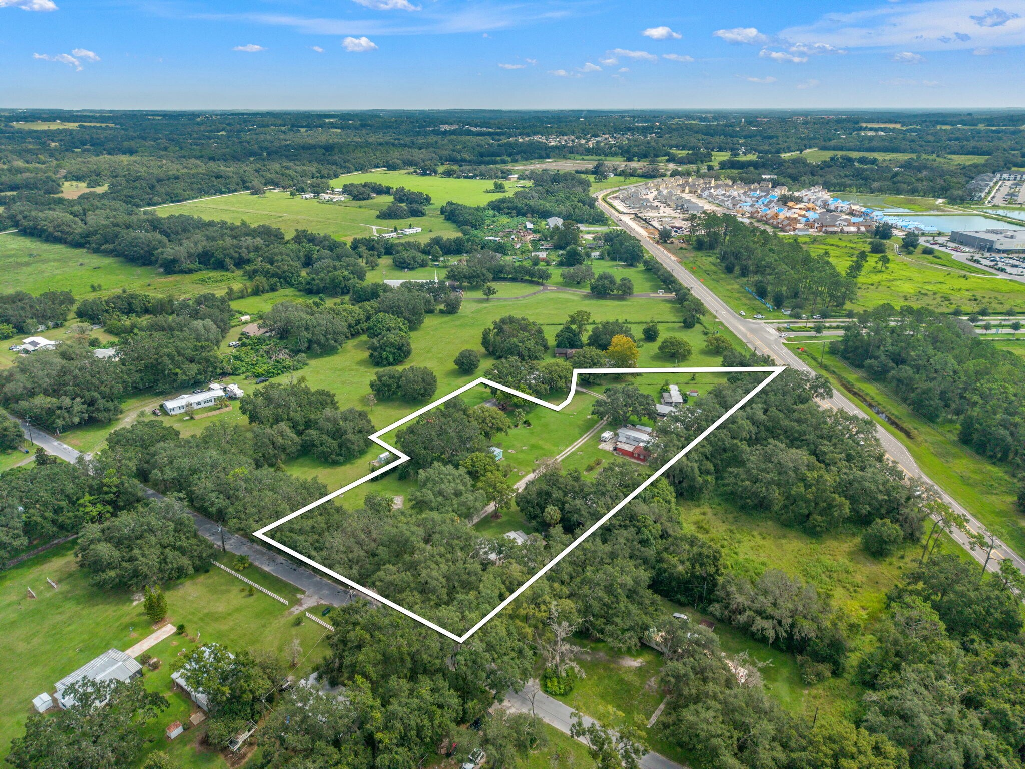 31107 Dana Dr, San Antonio, FL à vendre Aérien- Image 1 de 12