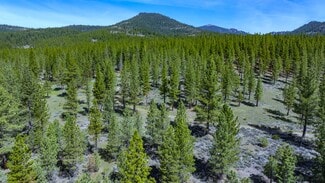 More details for 73077 Highway 70, Portola, CA - Land for Sale