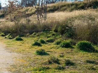 Plus de détails pour Terrain à vendre