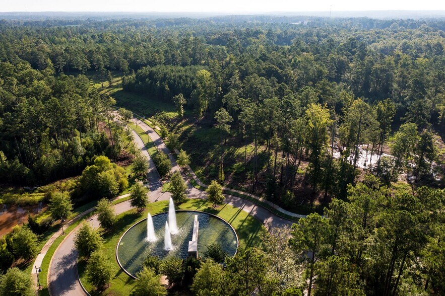 301 Brighton Blvd, Chapin, SC à vendre - Aérien - Image 2 de 15