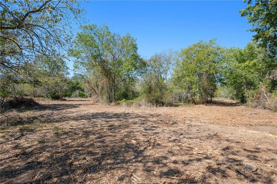 81.53 AC Hwy 36 North hwy, Caldwell, TX à vendre - Photo du bâtiment - Image 3 de 21