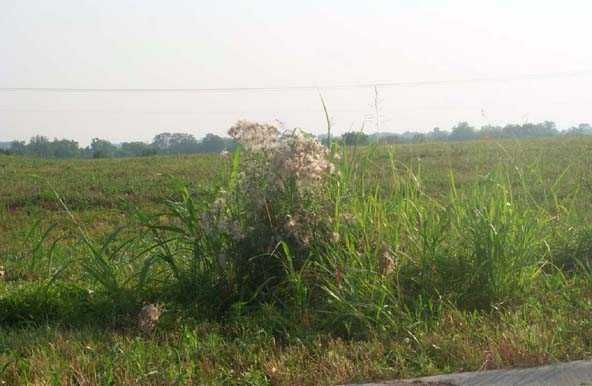 Boone Station Rd, Shelbyville, KY for sale - Primary Photo - Image 1 of 1