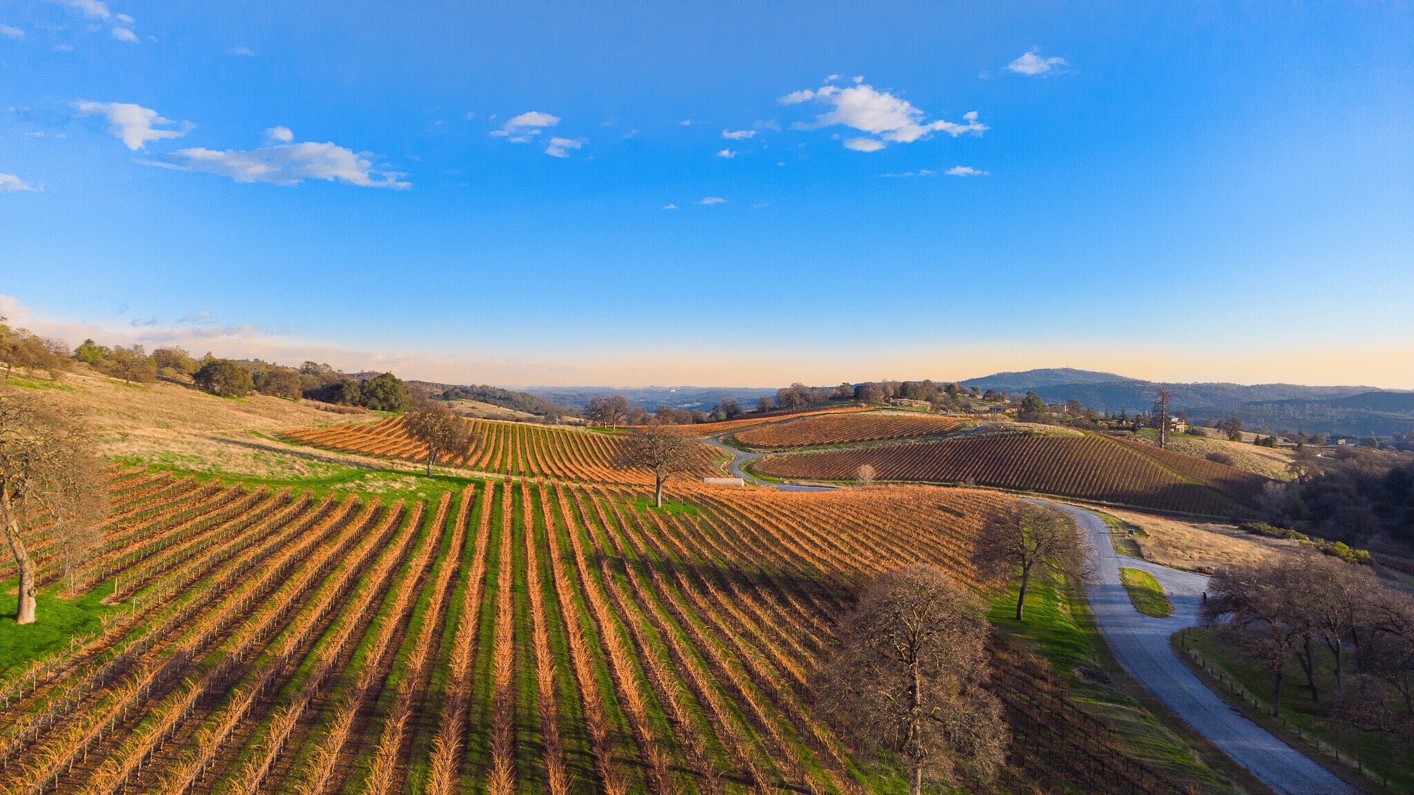 Safari Trail, Pilot Hill, CA for sale Primary Photo- Image 1 of 1