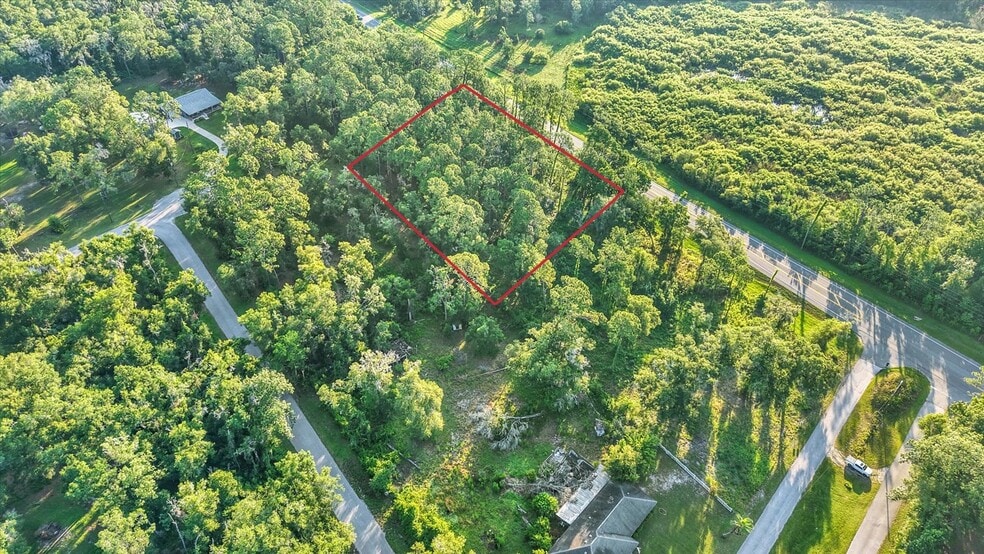 US Hwy 301/Treiman Boulevard Blvd, Webster, FL for sale - Aerial - Image 2 of 19