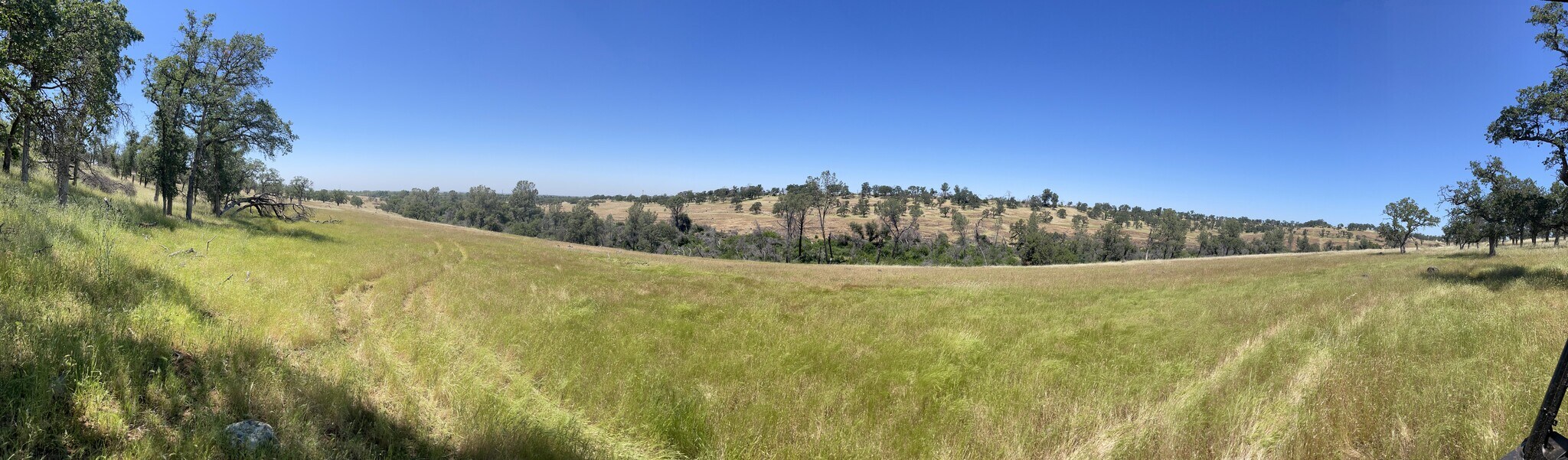 295 Honey Run Road run, Chico, CA for sale Primary Photo- Image 1 of 13