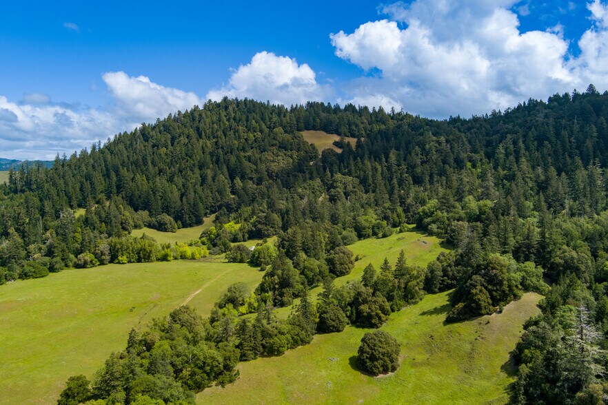 00 Reed Mountain Ranch Road, Garberville, CA for sale - Primary Photo - Image 1 of 13