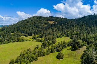 Plus de détails pour 00 Reed Mountain Ranch Road, Garberville, CA - Terrain à vendre