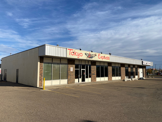 Plus de détails pour 11144 149th St NW, Edmonton, AB - Vente au détail, Industriel à louer