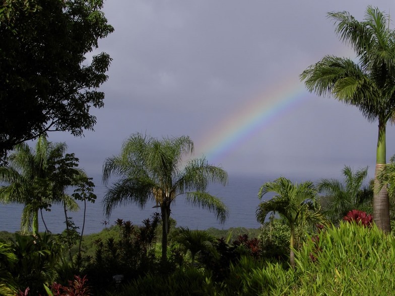 10600 Hana Hwy, Haiku, HI for sale - Primary Photo - Image 1 of 1