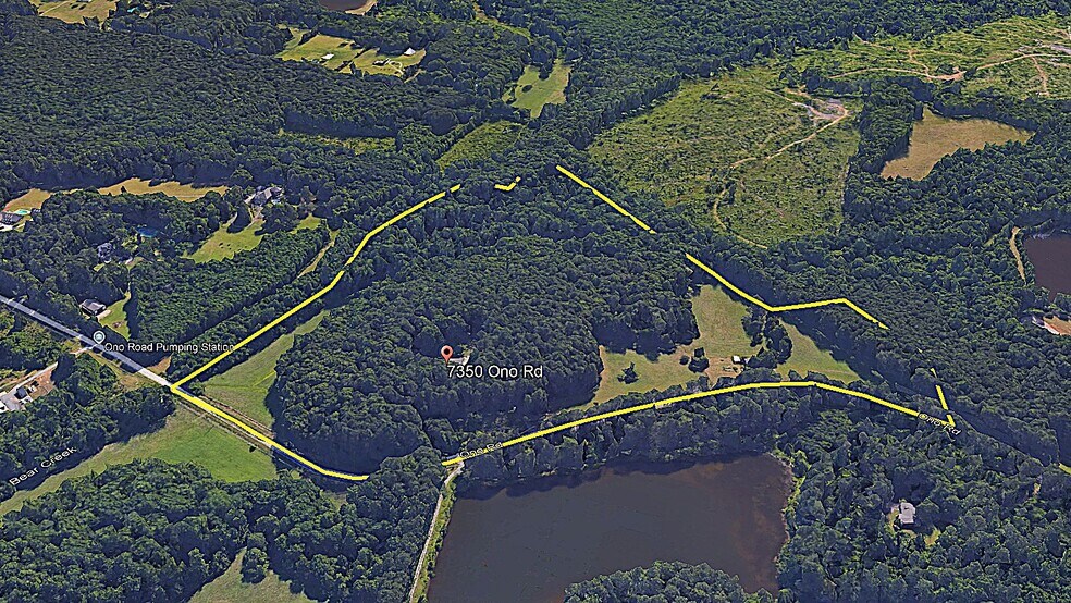 7350 Ono Rd, Palmetto, GA à vendre - Aérien - Image 2 de 6