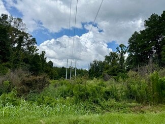 More details for 2194 MS-570, Summit, MS - Land for Sale