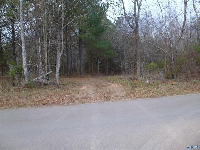 5900 Martin Ave NE, Fort Payne, AL for sale - Other - Image 3 of 9