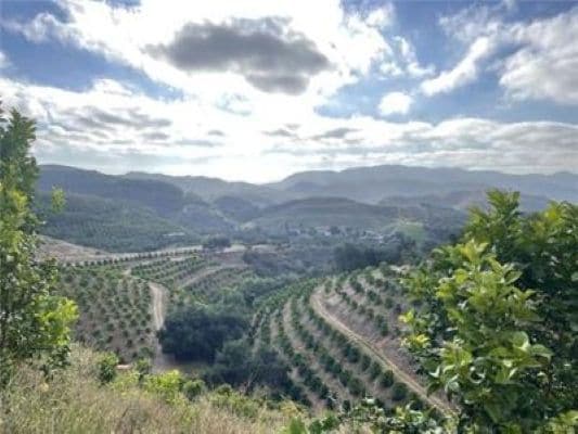 0 Avenida Tierra, Temecula, CA for sale - Building Photo - Image 2 of 6