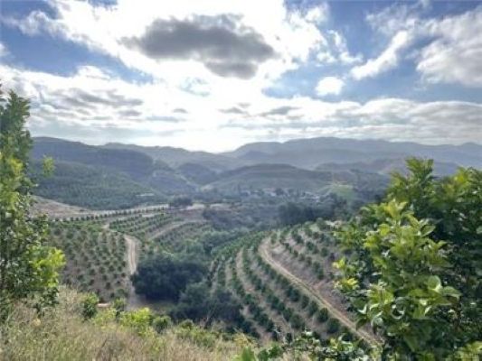 0 Avenida Tierra, Temecula, CA à vendre - Photo du bâtiment - Image 2 de 6