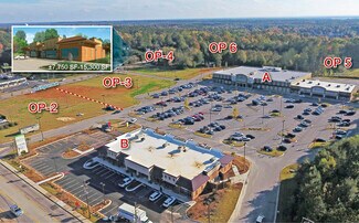 Plus de détails pour 1250 Chapin Rd, Chapin, SC - Terrain à louer