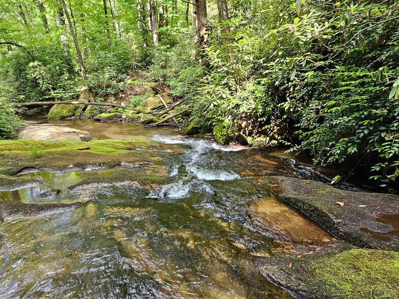 1000 River Ridges Rd, Zirconia, NC à vendre - Photo du bâtiment - Image 2 de 8