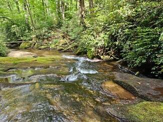 Plus de détails pour 1000 River Ridges Rd, Zirconia, NC - Terrain à vendre