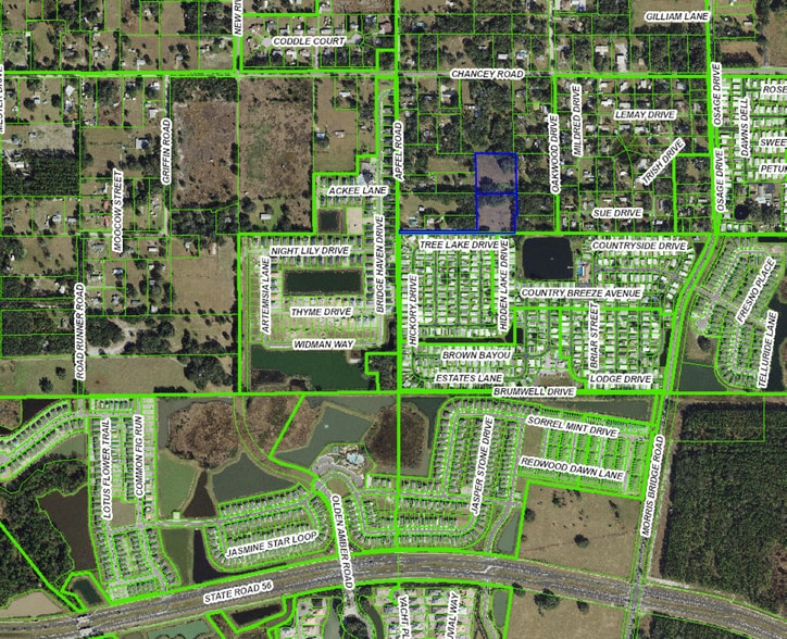 3230 Apfel Rd, Zephyrhills, FL à vendre - Photo du bâtiment - Image 3 de 4