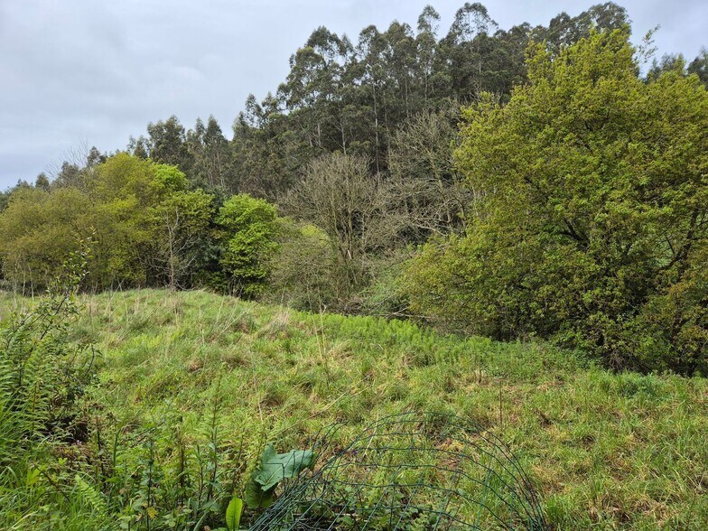 Barrio Cuto, 6, Carreño, Asturias à vendre - Aérien - Image 2 de 7