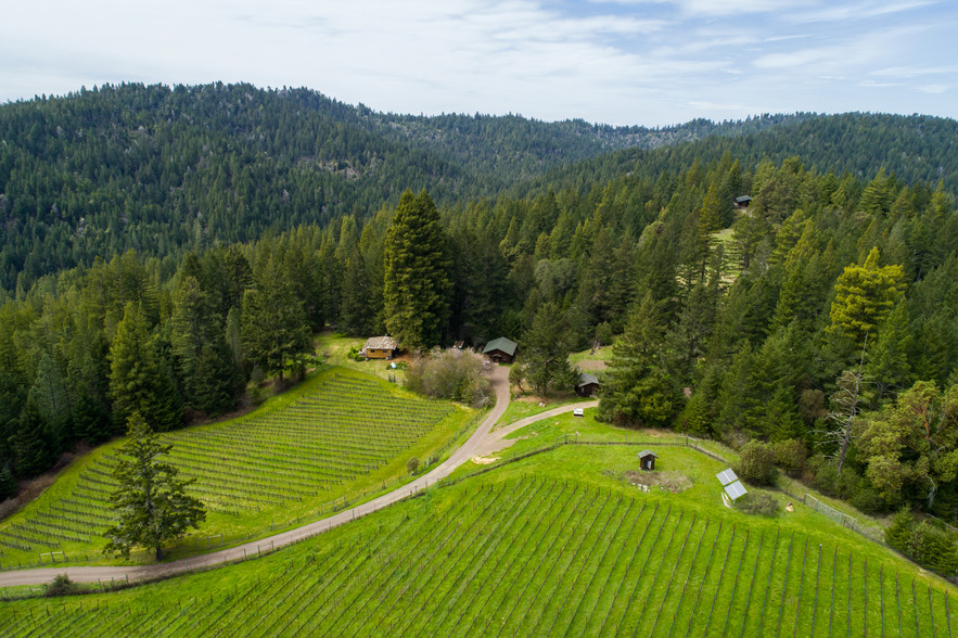 25901 Comptche Ukiah Rd, Comptche, CA for sale - Other - Image 1 of 1