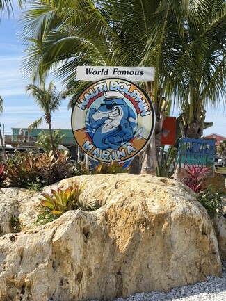 Plus de détails pour 2921 Sanibel Blvd, Saint James City, FL - Terrain à vendre