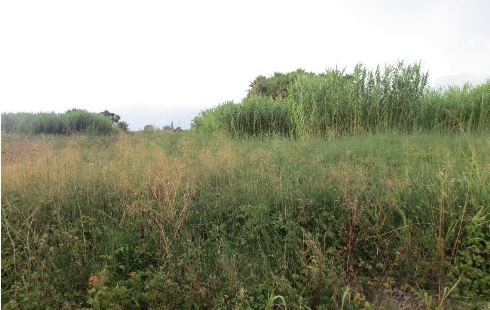 Carrer Braille, Sueca, Valencia à vendre Photo du bâtiment- Image 1 de 9