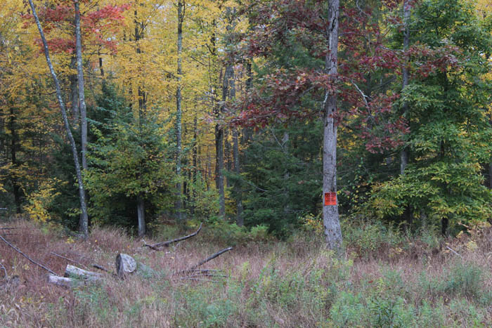 Kyttle Pike Rd, Shickshinny, PA à vendre - Photo principale - Image 1 de 1