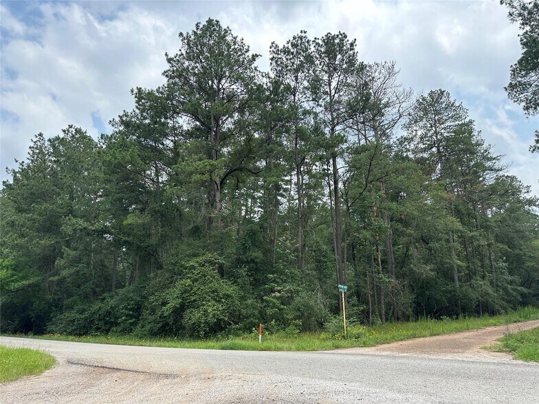 19&20 Appian Way, New Caney, TX à vendre - Photo du bâtiment - Image 2 de 7