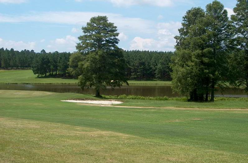 3821 Ga 112 Hwy, Ashburn, GA for sale - Other - Image 2 of 24