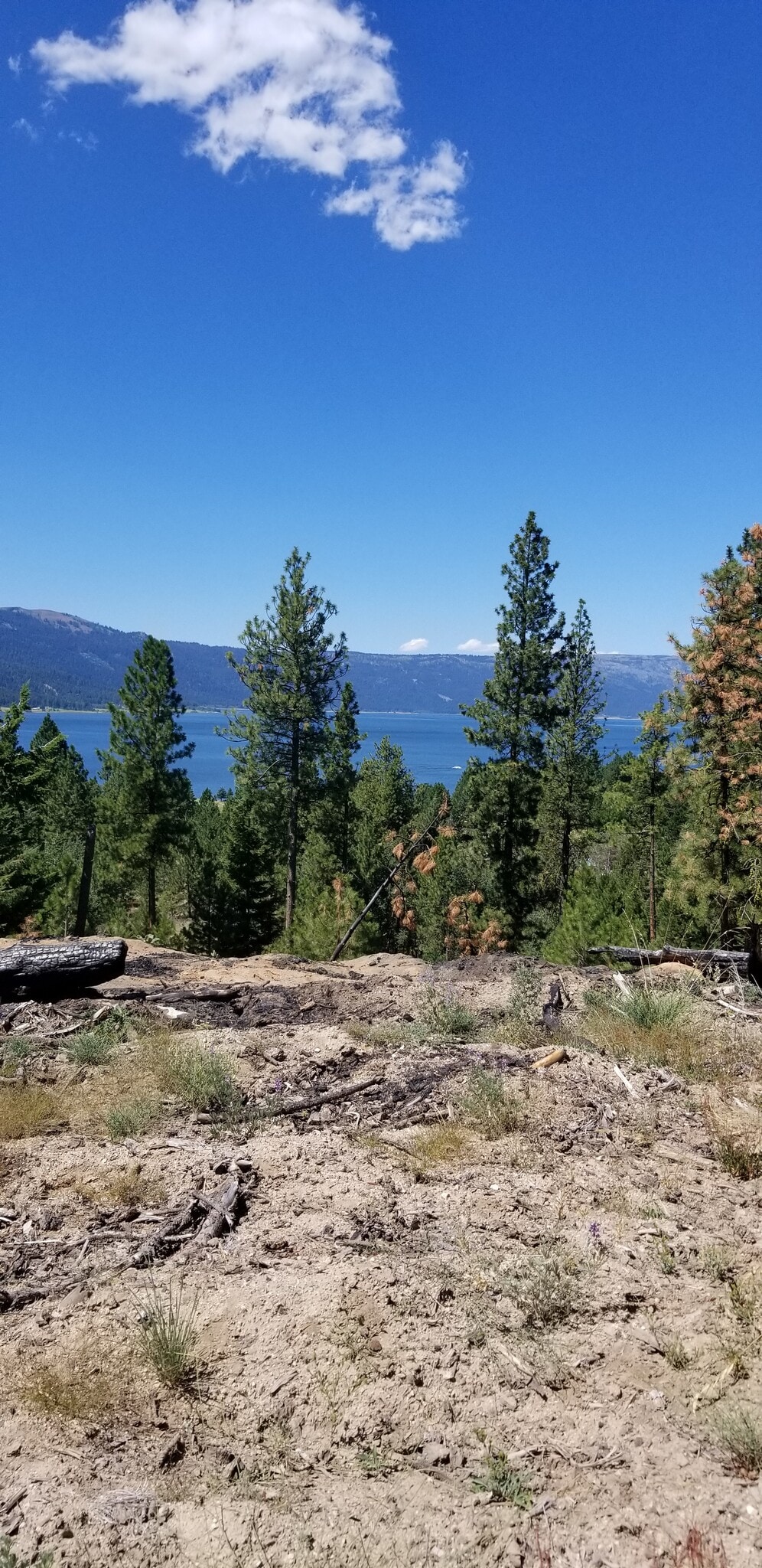 Lakeshore Drive, Cascade, ID for sale Primary Photo- Image 1 of 4