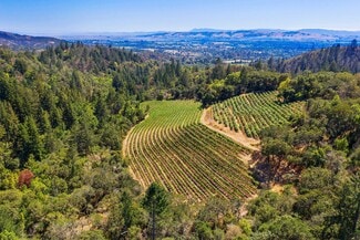Plus de détails pour 2500 Castle rd, Sonoma, CA - Terrain à vendre