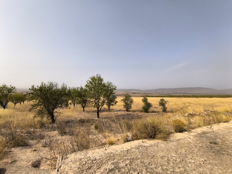 Land in Yecla, Murcia for sale - Primary Photo - Image 3 of 12